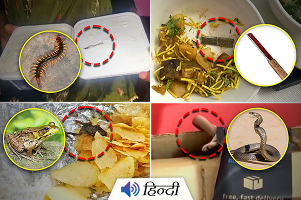 Horrifying: Centipede, Blade, Rat, Frog Found in Different Foods!