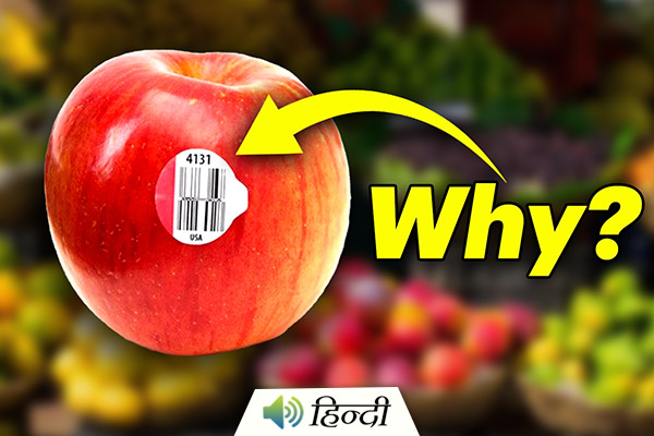 Understanding Fruit Stickers