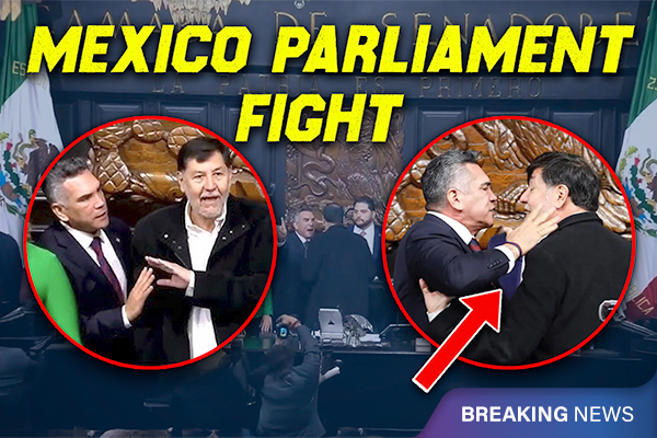 Mexico’s Senate Erupts Into Brawl After Heated Debate