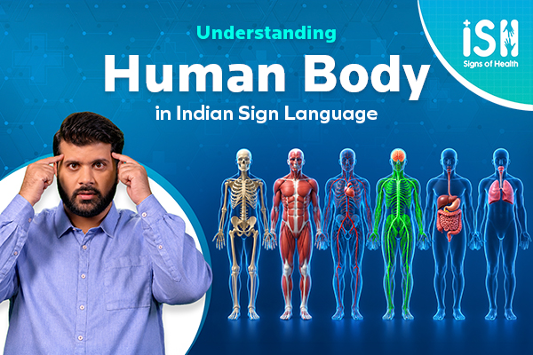 Understanding Human Body, Organs And Organ System